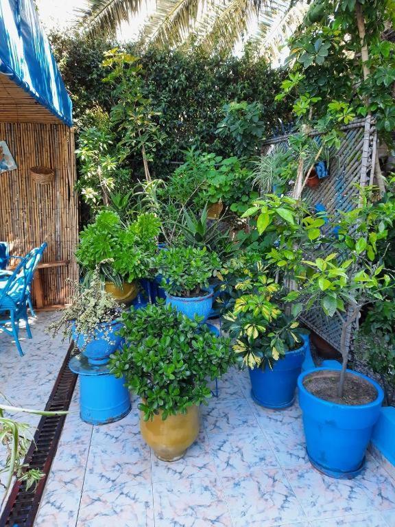 Maison D Hotes Marine Ksar Sghir Ngoại thất bức ảnh