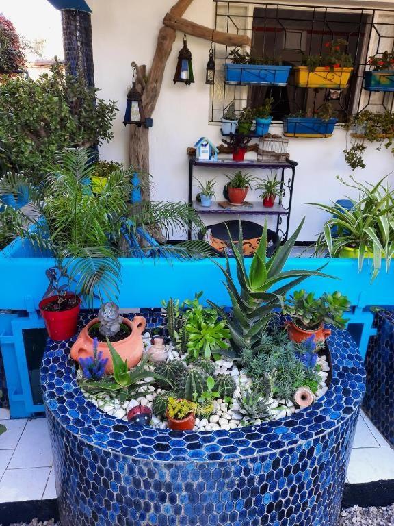 Maison D Hotes Marine Ksar Sghir Ngoại thất bức ảnh