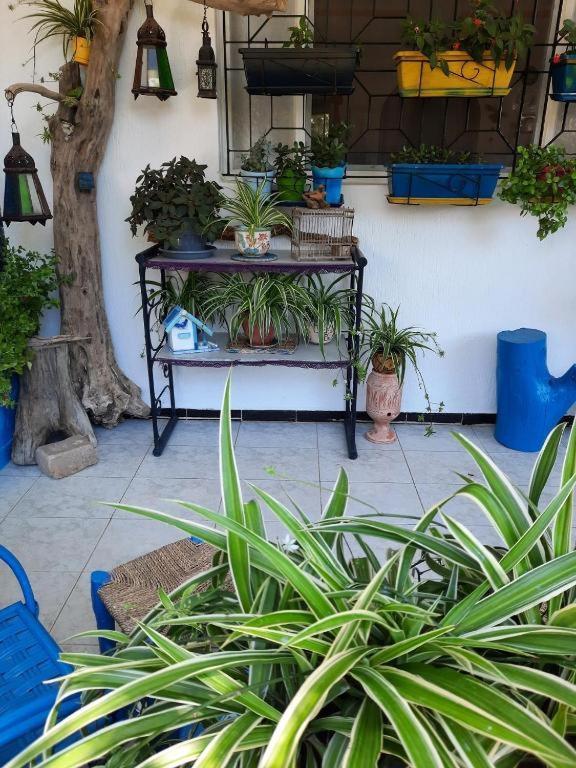 Maison D Hotes Marine Ksar Sghir Ngoại thất bức ảnh