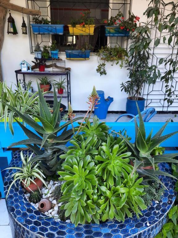 Maison D Hotes Marine Ksar Sghir Ngoại thất bức ảnh